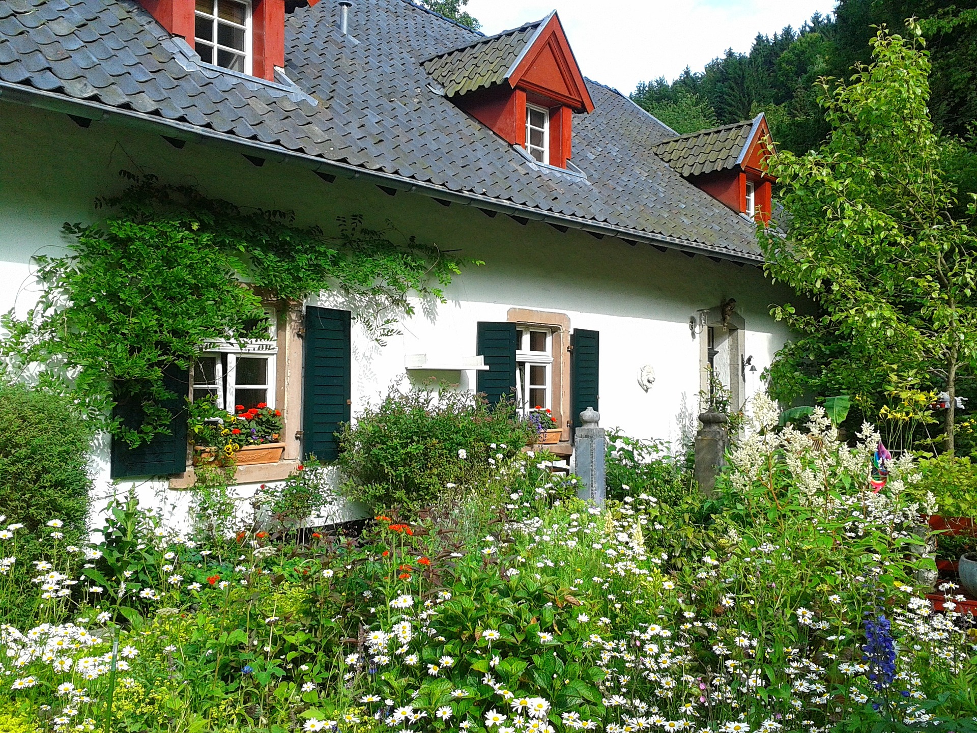 Tipps rund ums Haus/ um die Wohnung für den Urlaub: